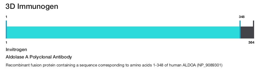 Aldolase A Polyclonal Antibody