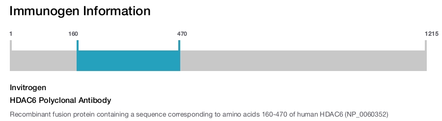 HDAC6 Polyclonal Antibody