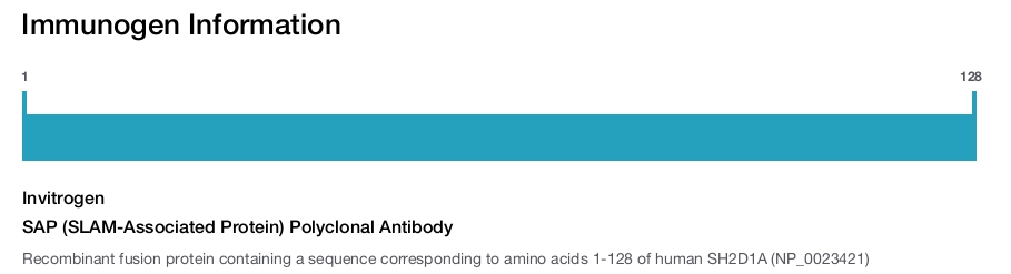 SAP (SLAM-Associated Protein) Polyclonal Antibody