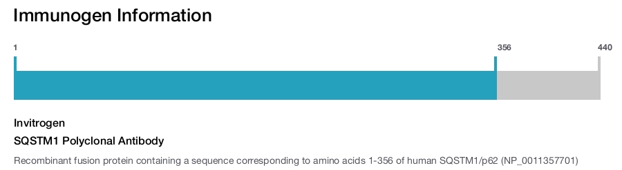 SQSTM1 Polyclonal Antibody