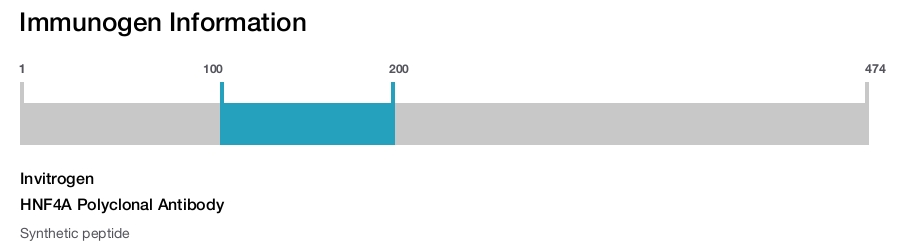 HNF4A Polyclonal Antibody