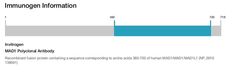MAD1 Polyclonal Antibody