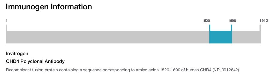 CHD4 Polyclonal Antibody