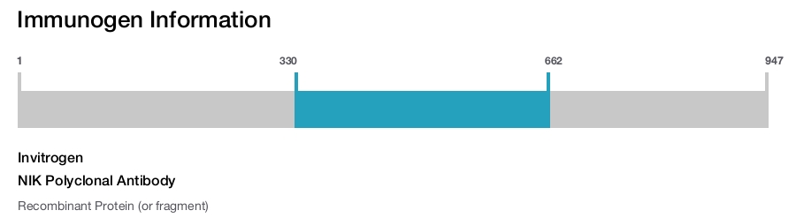 NIK Polyclonal Antibody