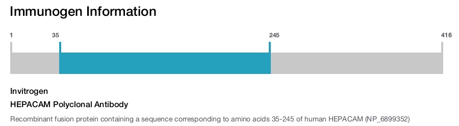 HEPACAM Polyclonal Antibody