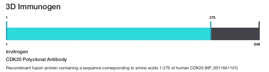 CDK20 Polyclonal Antibody