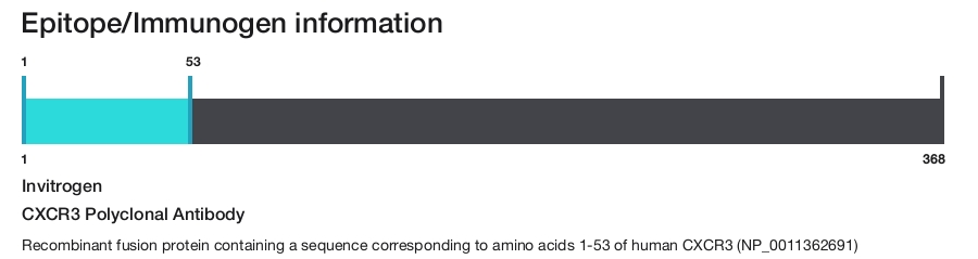 CXCR3 Polyclonal Antibody