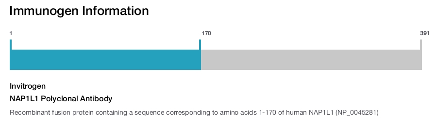NAP1L1 Polyclonal Antibody