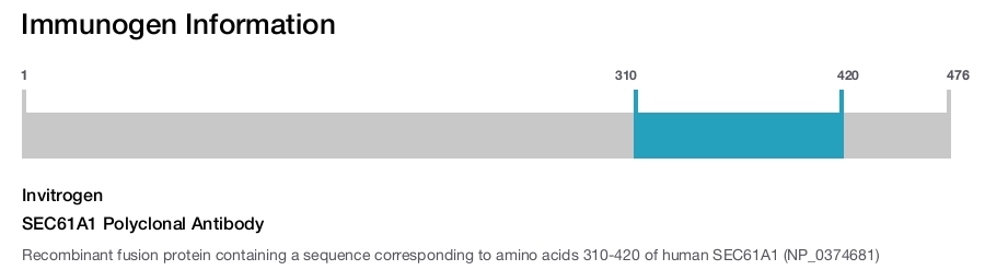 SEC61A1 Polyclonal Antibody