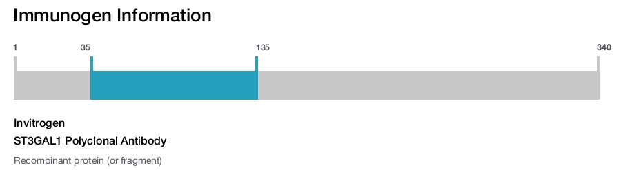 ST3GAL1 Polyclonal Antibody