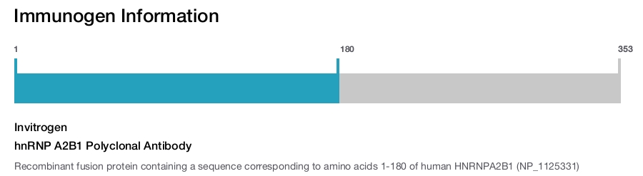 hnRNP A2B1 Polyclonal Antibody