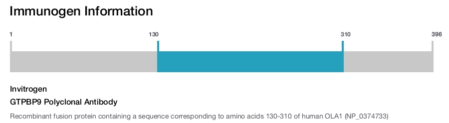 GTPBP9 Polyclonal Antibody