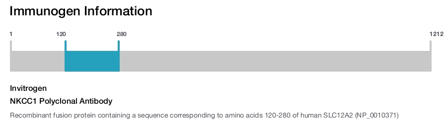 NKCC1 Polyclonal Antibody