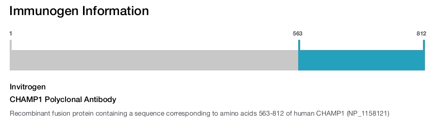 CHAMP1 Polyclonal Antibody