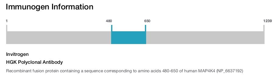 HGK Polyclonal Antibody