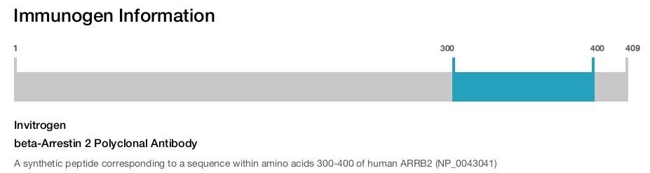beta-Arrestin 2 Polyclonal Antibody
