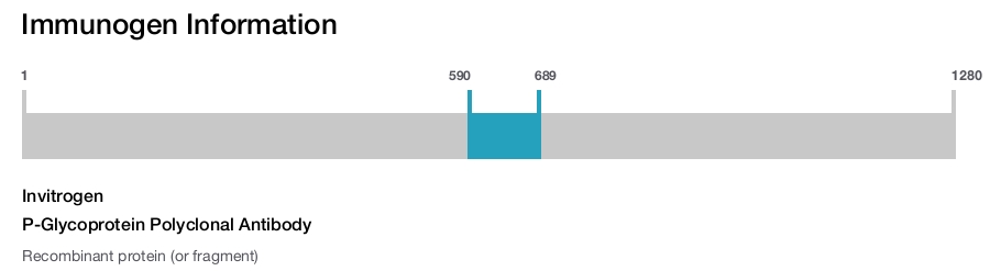 P-Glycoprotein Polyclonal Antibody