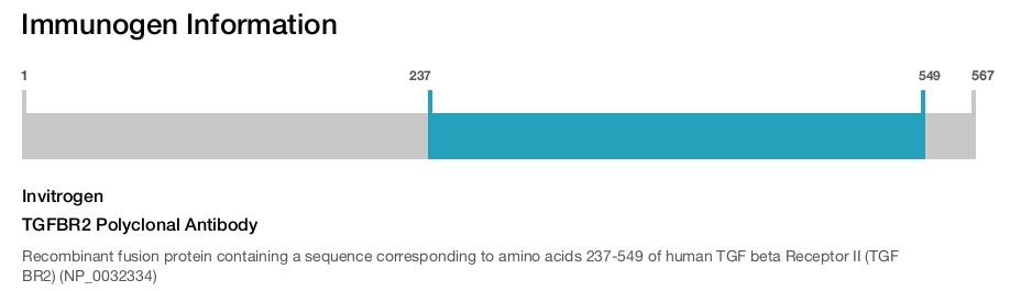 TGFBR2 Polyclonal Antibody