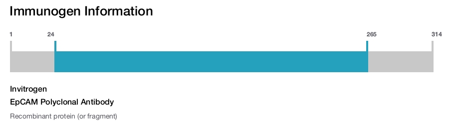 EpCAM Polyclonal Antibody
