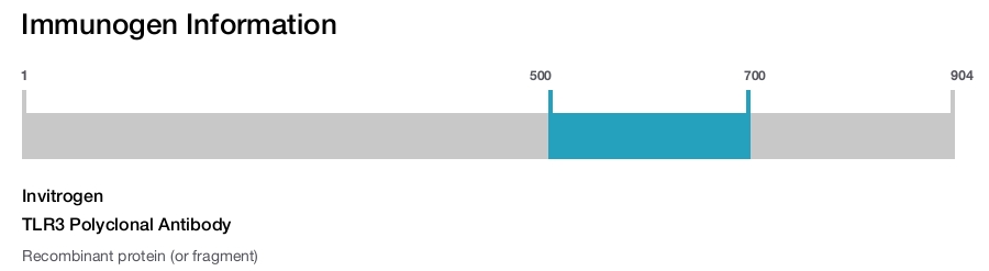 TLR3 Polyclonal Antibody