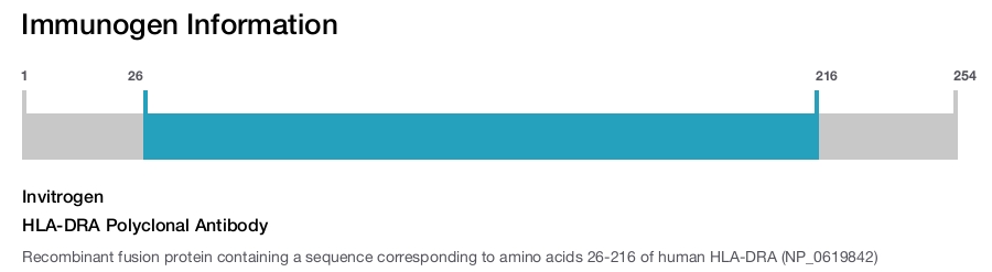 HLA-DRA Polyclonal Antibody