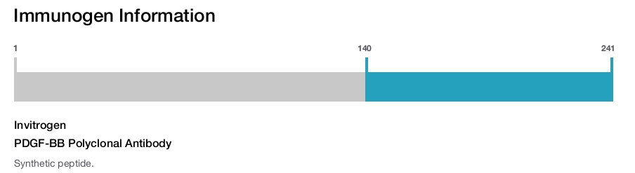 PDGF-BB Polyclonal Antibody