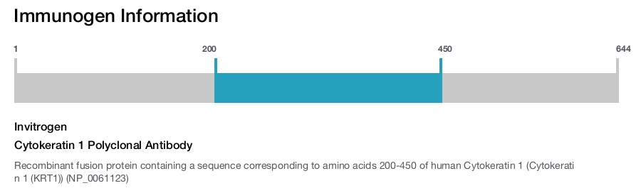 Cytokeratin 1 Polyclonal Antibody