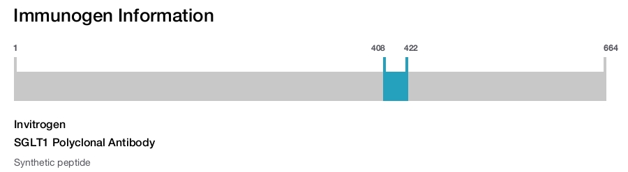 SGLT1 Polyclonal Antibody