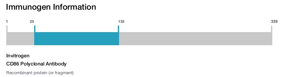 CD86 Polyclonal Antibody
