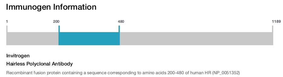 Hairless Polyclonal Antibody