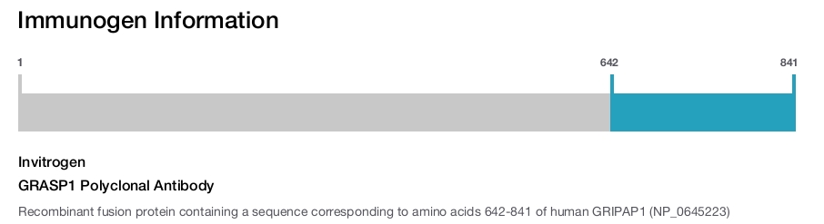 GRASP1 Polyclonal Antibody