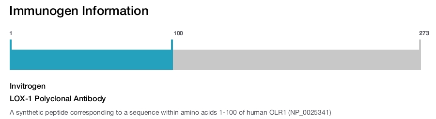 LOX-1 Polyclonal Antibody