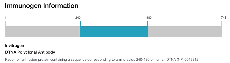 DTNA Polyclonal Antibody