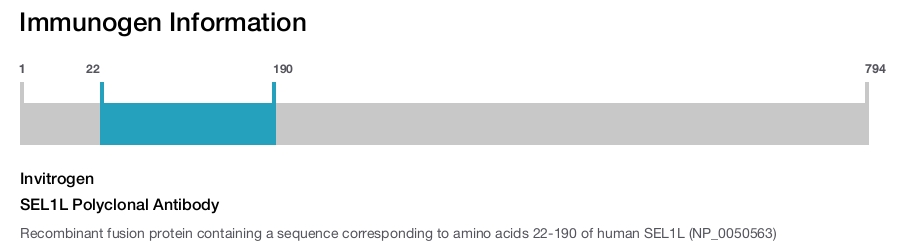 SEL1L Polyclonal Antibody