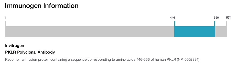 PKLR Polyclonal Antibody
