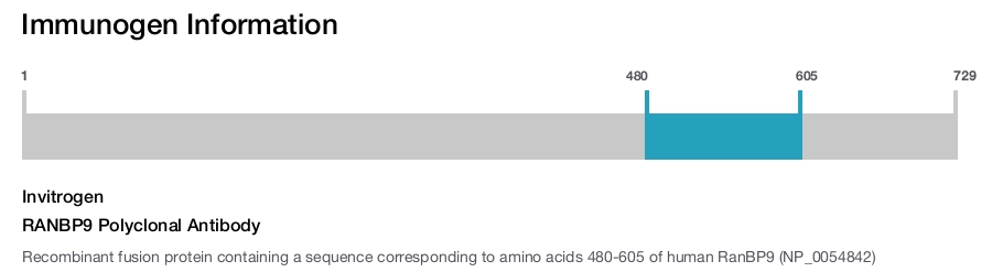 RANBP9 Polyclonal Antibody