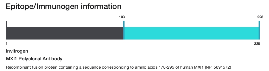 MXI1 Polyclonal Antibody