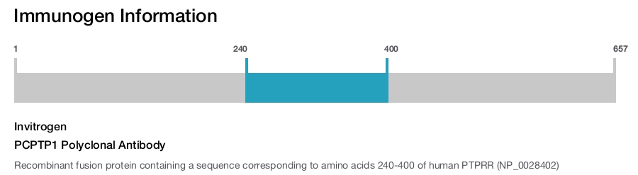 PCPTP1 Polyclonal Antibody