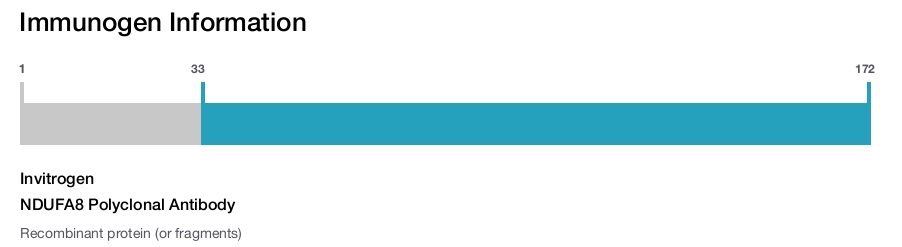 NDUFA8 Polyclonal Antibody