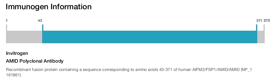 AMID Polyclonal Antibody