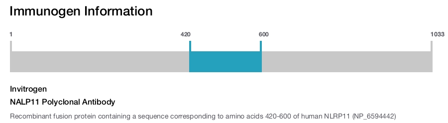 NALP11 Polyclonal Antibody