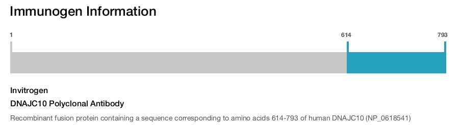 DNAJC10 Polyclonal Antibody