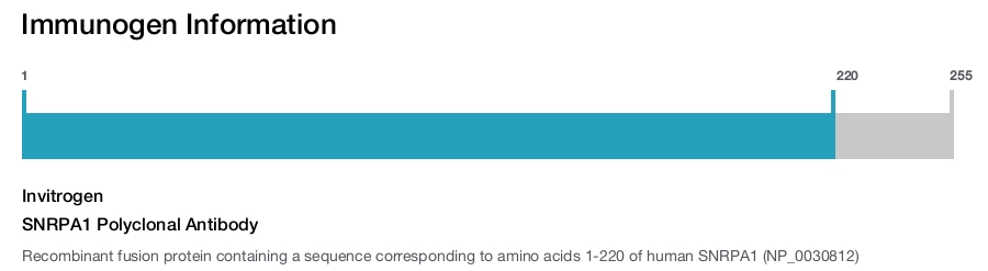 SNRPA1 Polyclonal Antibody