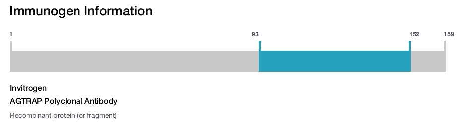 AGTRAP Polyclonal Antibody