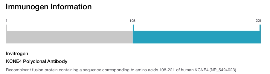 KCNE4 Polyclonal Antibody
