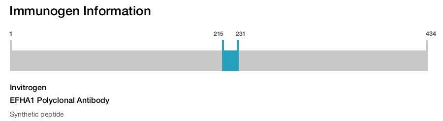 EFHA1 Polyclonal Antibody