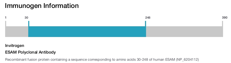 ESAM Polyclonal Antibody