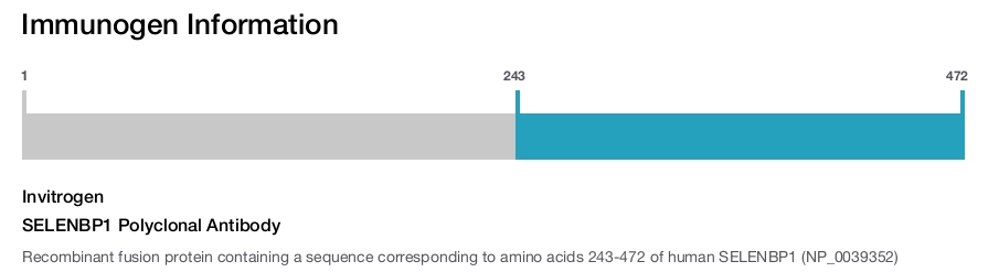 SELENBP1 Polyclonal Antibody