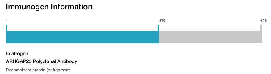 ARHGAP25 Polyclonal Antibody