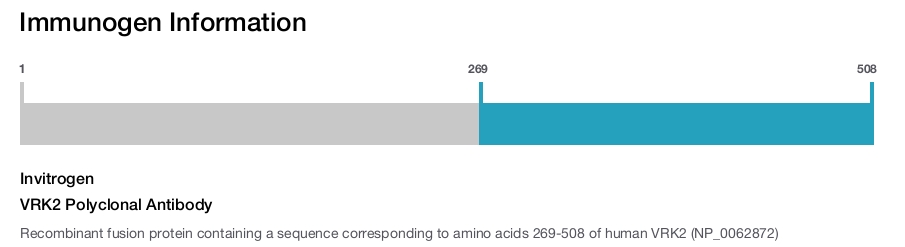 VRK2 Polyclonal Antibody